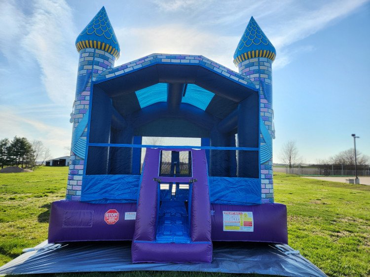 MN Vikings Bounce House with Slide Rental